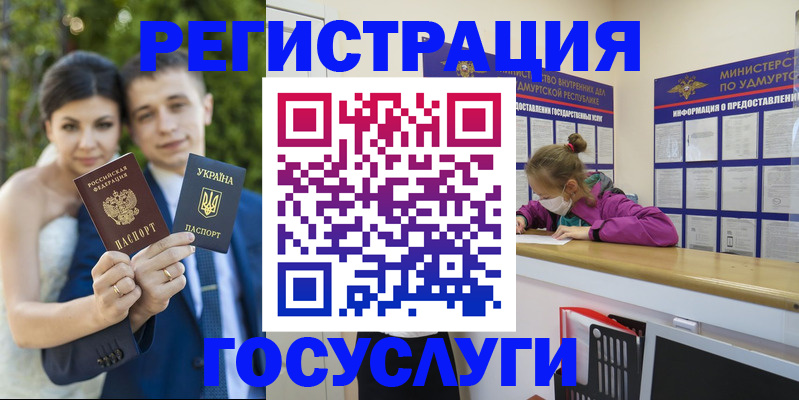 прописка поиск в Новоузенске
